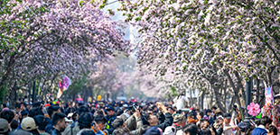 数看我国消费市场活力释放今年以来，消费市场总体稳定增长，服务消费需求加速释放，商品销售平稳扩容。